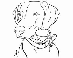 Image result for Dog Line Drawing