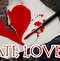 Image result for No Hate Just Love