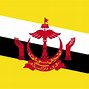 Image result for Britishsh Black and Red Flag