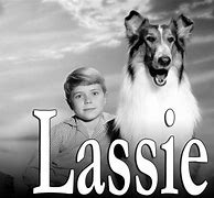 Image result for Lassie Show