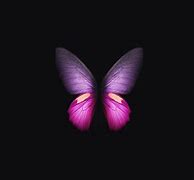 Image result for Black Background Blue Butterfly Wallpaper