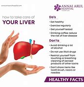 Image result for Liver