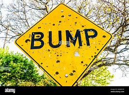 Image result for Bump Hazards Sign