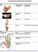 Image result for Pin Nerve Function