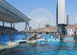 Image result for Nagoya Aquarium