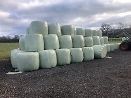 Image result for Big Bale Silage