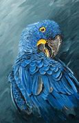 Image result for Blue Parrot Painting