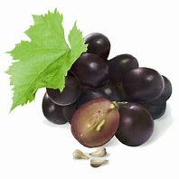 Image result for Grape Seed Lil