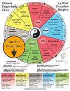 Image result for Qi Organ Cleanse Clock Cycle