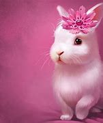 Image result for Pictures of Cute Easter Bunnies