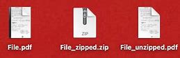 Image result for Actual PDF Icon