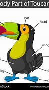 Image result for Toucan Chart