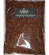 Image result for Peat Plant