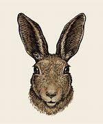 Image result for March Hare Clip Art