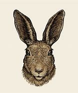 Image result for Free Resizable Clip Art Hare