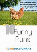 Image result for Word Puns