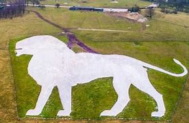 Image result for Whipsnade Lion