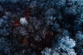 Image result for Landscape Frozen Wallpaper 4K