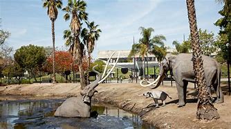 Image result for La Brea Tar Pits Clip Art