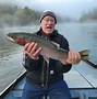 Image result for Steelhead Salmon