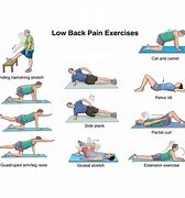 Image result for Lumbar Exercises for Back Pain