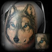 Image result for Wolf and Owl Eye Tattoo