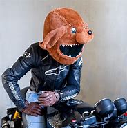 Image result for Dog Motorbike Helmet