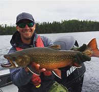 Image result for Brook Trout