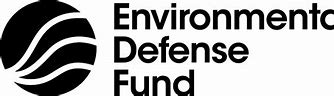 Image result for EDF Defence Logo