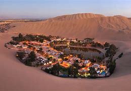 Image result for Oasis Desert Town