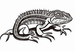 Image result for Lizard Design