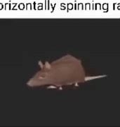 Image result for Horizontally Spinning Rat