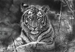 Image result for Hyper Realistic Graphite Drawings