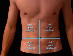 Image result for Oblique Pain Right Side