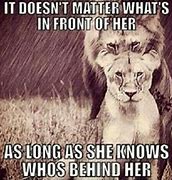 Image result for Lion Lioness Meme