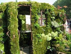 Image result for Moss Sculpture