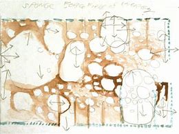 Image result for Steven Holl Illustrations