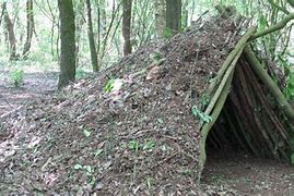 Image result for Build Survival Shelter