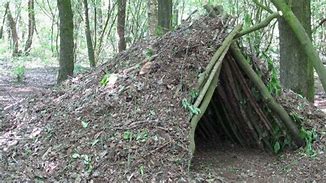 Image result for Survival Shelter Building