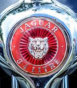 Image result for Jaguar Logo Medieval