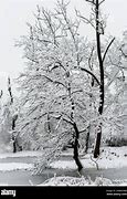 Image result for Frozen Ice Landscape