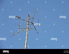 Image result for Aerial TV Antenna