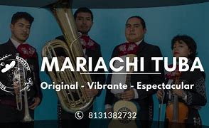 Image result for Mariachi Tuba