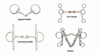 Image result for Draft Horse Bits