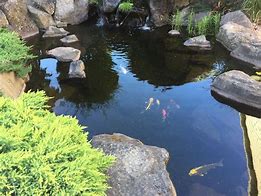 Image result for Aquascape Pond