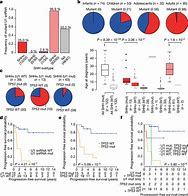 Image result for Shh Pathway Medulloblastoma