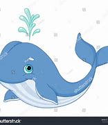 Image result for Whale Stock Image