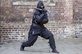 Image result for Ninjutsu Training Gear