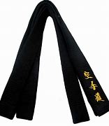 Image result for Green Belt Karate