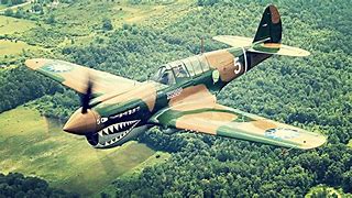 Image result for P-40 Airplane